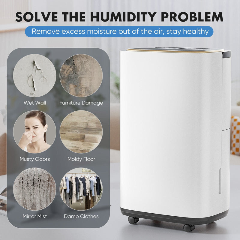 JONPONY Dehumidifier, 2,000 Sq.Ft Coverage, Energy Star Portable Dehumidifier with Drain Hose, Powerful Moisture Removal and Humidity Control for Basement, Bedroom, Bathroom, Large Rooms